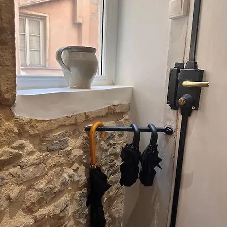 Logement Lyonnais Apartamento *