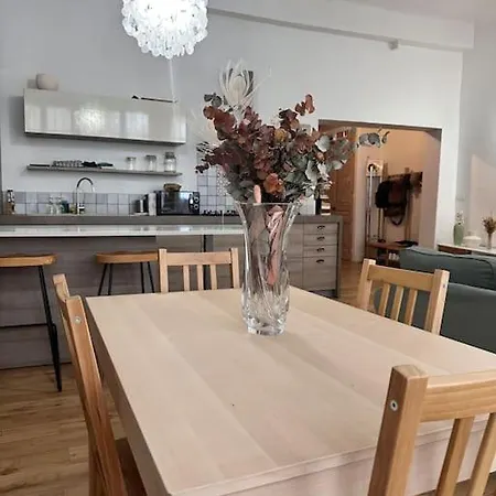 Logement Lyonnais *